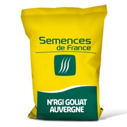 Mélange N'RGI GOLIAT AUVERGNE - Semences de France