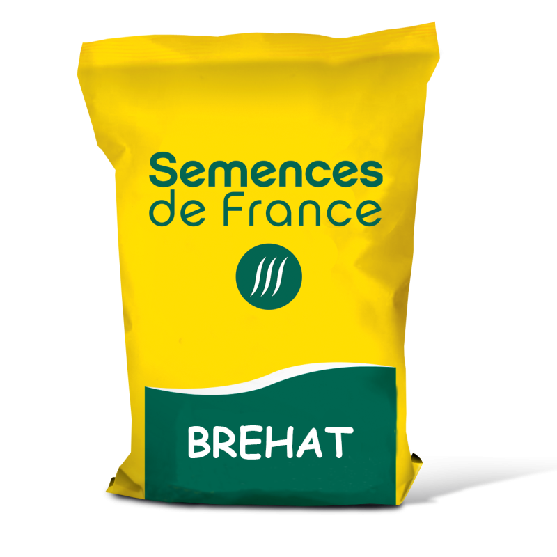 Triticale BREHAT - Semences de France