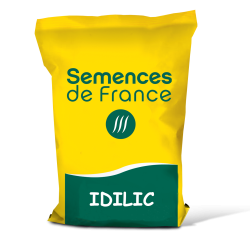 Orge IDILIC - Semences de France