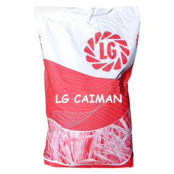 Orge LG CAIMAN - LG Seeds