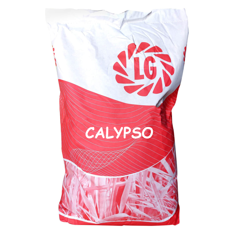 Orge CALYPSO - LG Seeds