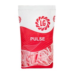 Ray Grass Italien ALT 2N PULSE (10kg) - LG Seeds