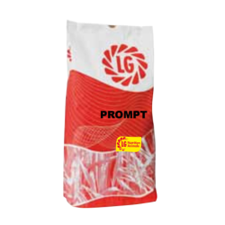 LG seeds Ray Grass Italien ALT 2N PROMPT (10kg)