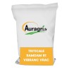 TRITICALE RAMDAM R1 VIBRANC VRAC