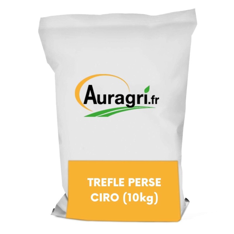 TREFLE PERSE CIRO (10kg)