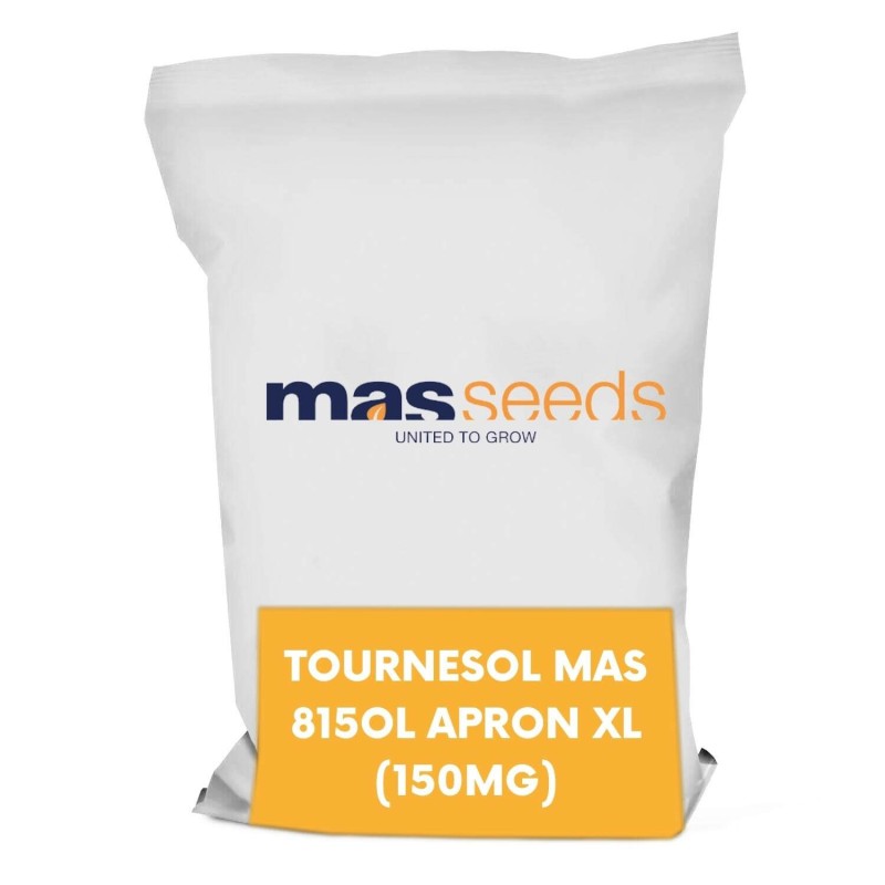 TOURNESOL MAS 815OL APRON XL (150MG) - Masseeds