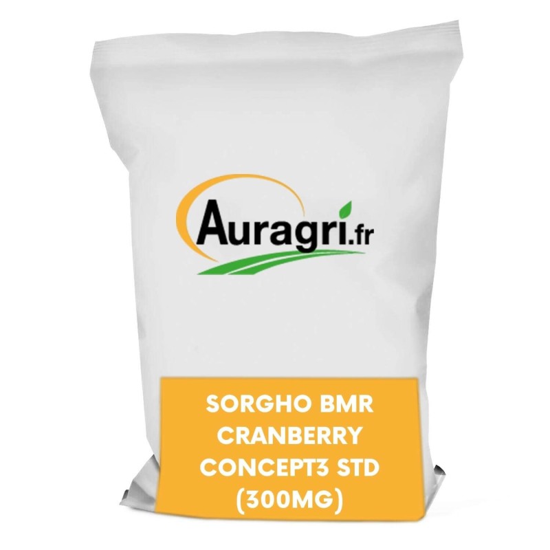 SORGHO BMR CRANBERRY CONCEPT3 STD (300MG)