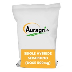 SEIGLE HYBRIDE SERAFINO (DOSE 500mg)