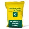 MAIS BIGBEAT STANDARD (50MG) - Semences De France