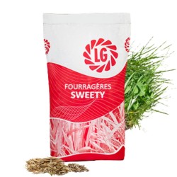 FETUQUE ELEVEE LG SWEETY (10kg) - LGSeeds