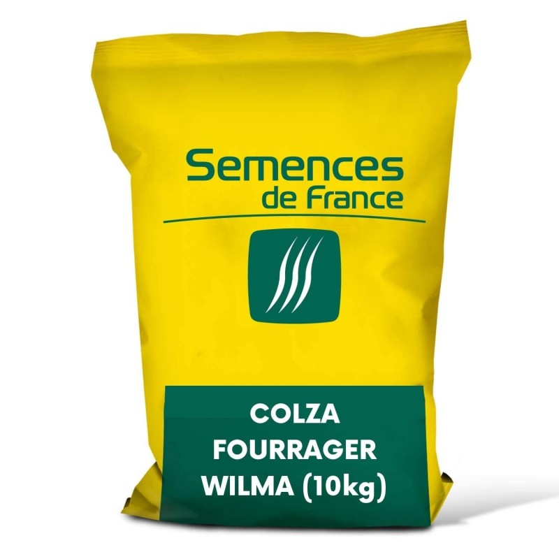 COLZA FOURRAGER WILMA (10kg) - Semences De France