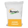 Avoine PURSANT - KWS