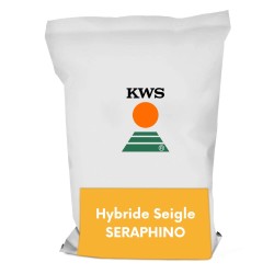 Hybride Seigle SERAPHINO - KWS