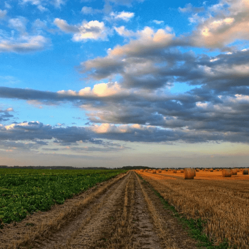 Quels sont les enjeux de l'agriculture durable ? Auragri